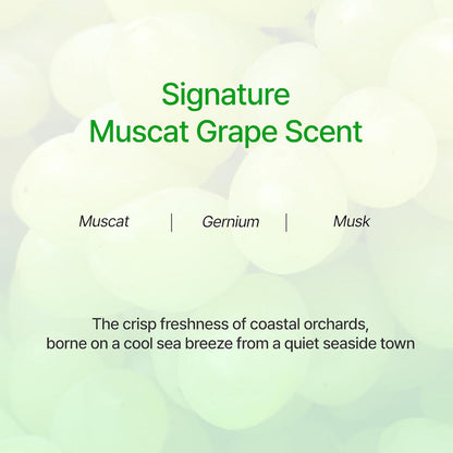 Fragrance infographic for Muscat grape scent with ingredient notes listed.