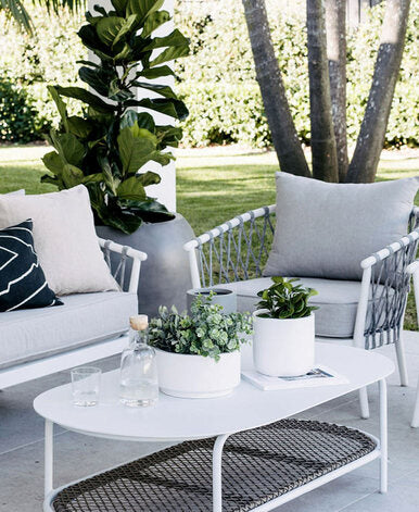 Small round plant pot set with green plant on outdoor white table