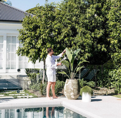 Speckled ceramic planter pot with tall leafy plant near outdoor swimming pool