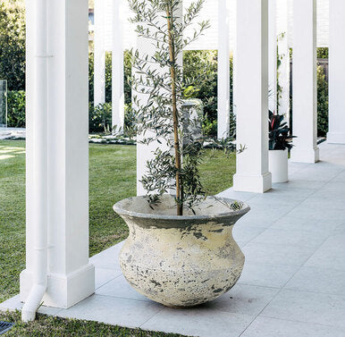 Speckled concrete planter urn with small tree in an outdoor patio