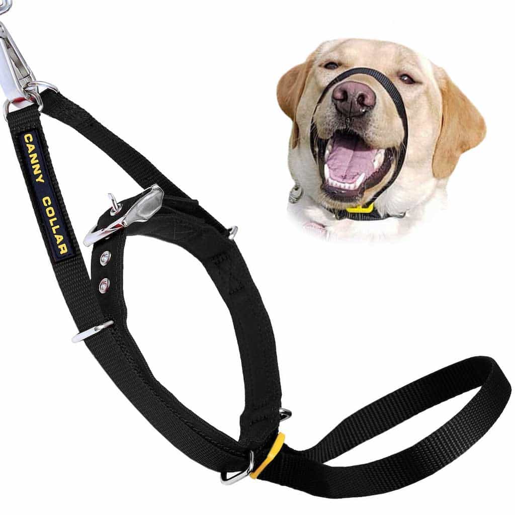 Black webbing dog nose loop training collar with adjustable strap and metal clips