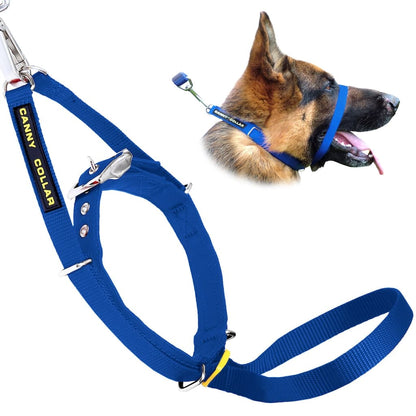 Dog collar with leash strap, blue nylon webbing, metal buckle and D-ring