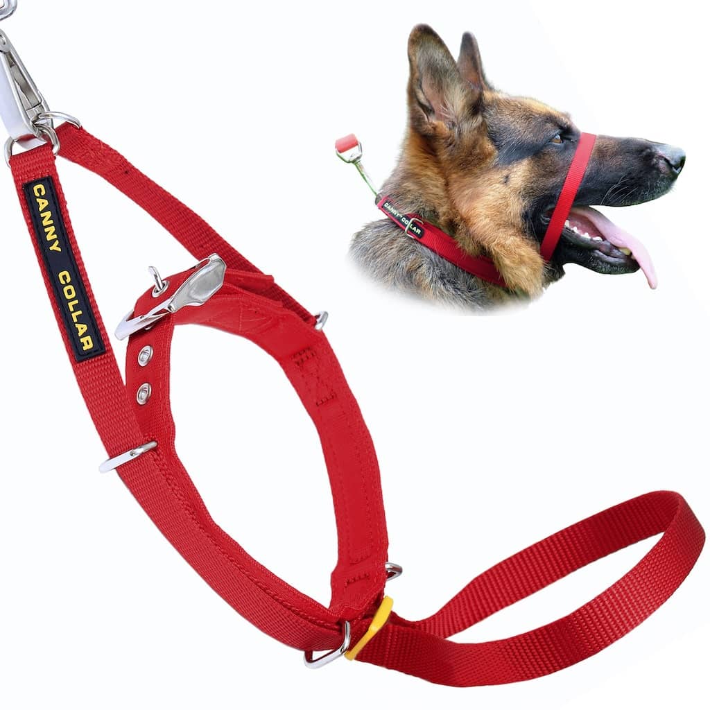 Canny Collar dog collar with leash strap, red nylon webbing, metal buckle and D-ring