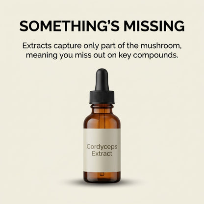 Australian Grown Cordyceps Mushroom
