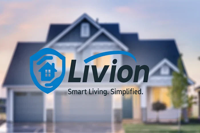 Livion 10.5″ Portable FHD IPS Monitor (1920×1280) – Built-in Speaker, HDR, 60 Hz Refresh Rate Display for CCTV & Security Systems PM101