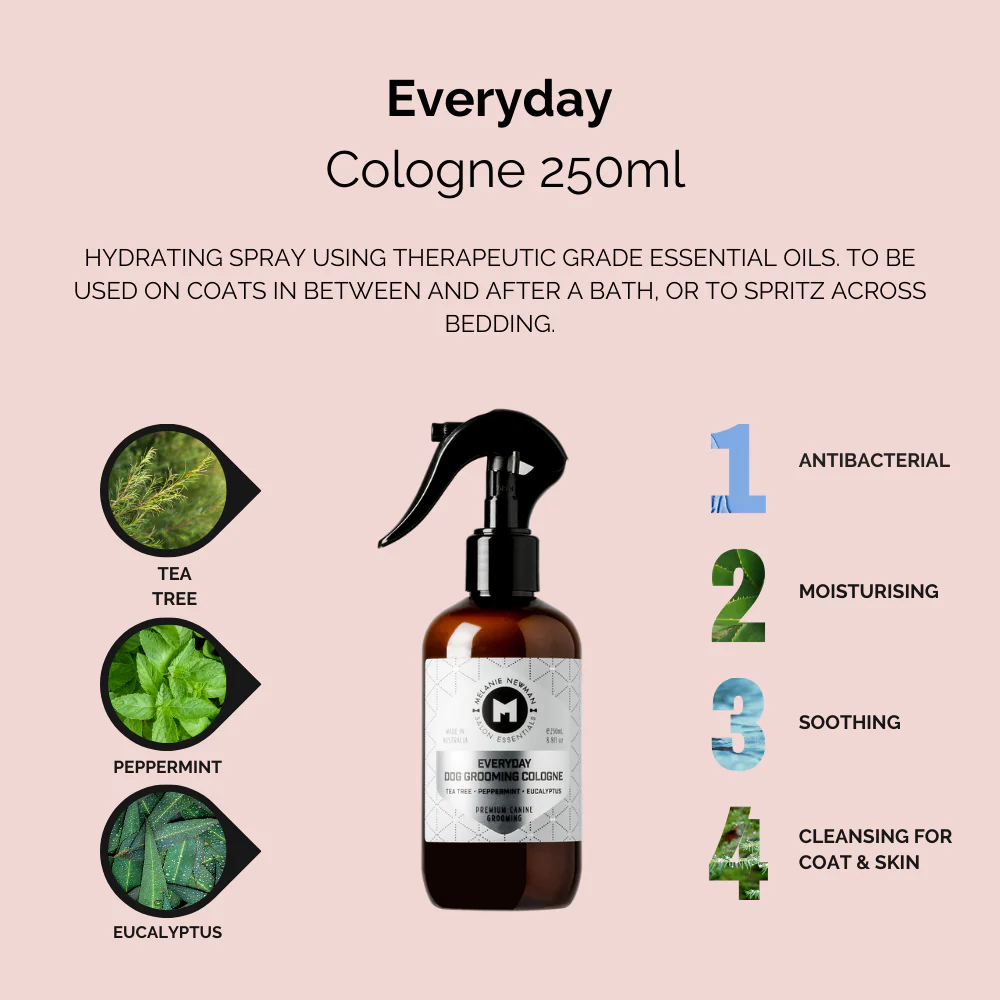 Melanie Newman Everyday Cologne
