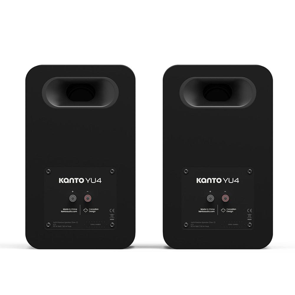 Matte black speaker rear panel with input ports and speaker binding posts