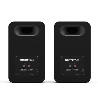 Matte black speaker rear panel with input ports and speaker binding posts