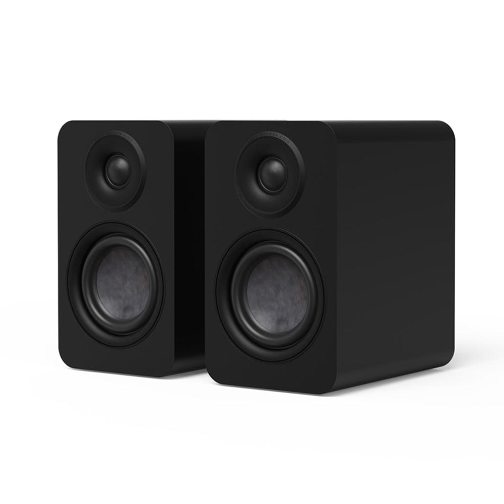 Matte black passive bookshelf speaker pair angled view with front tweeter and woofer