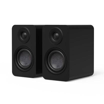 Matte black passive bookshelf speaker pair angled view with front tweeter and woofer