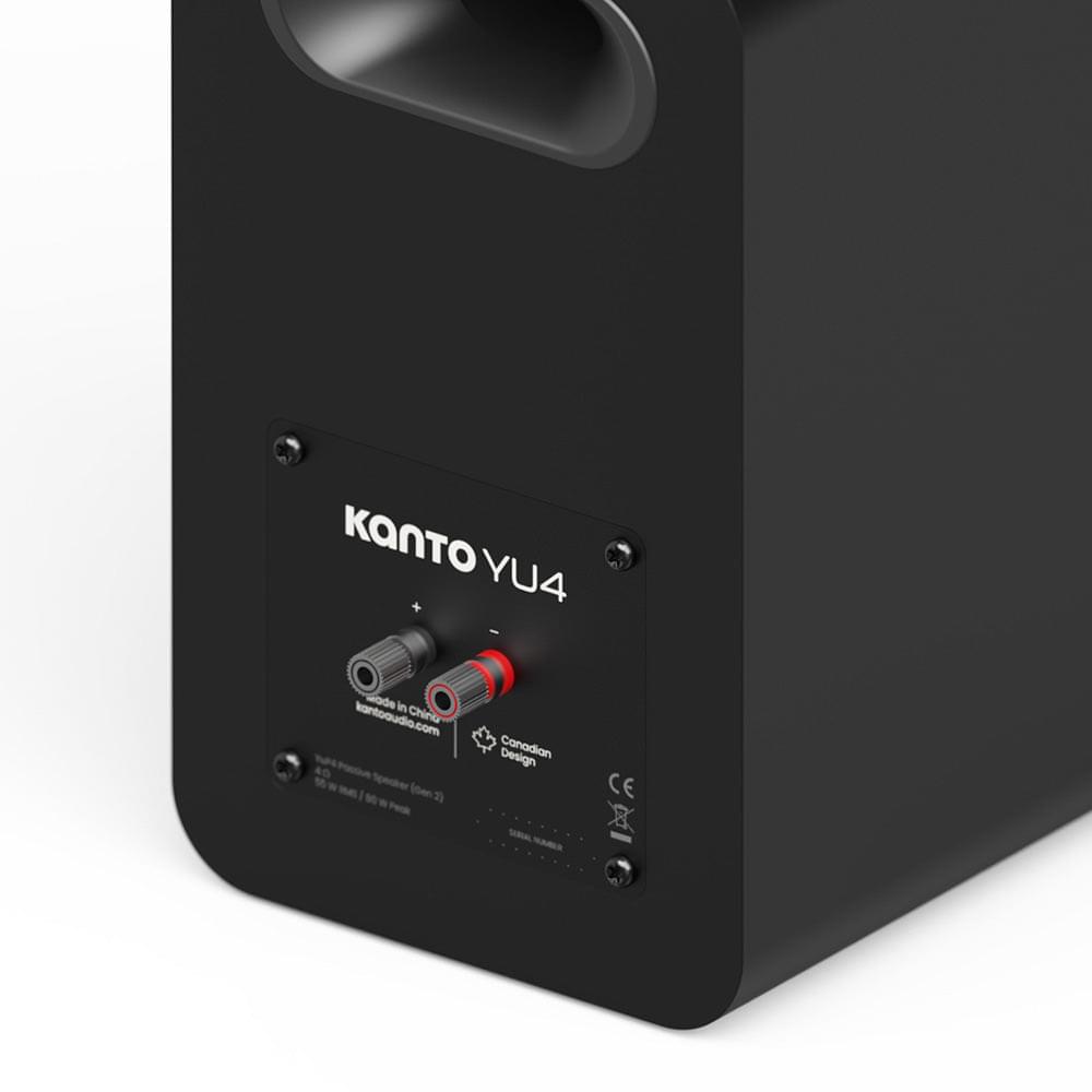 Matte black rear input panel with terminals and connector ports