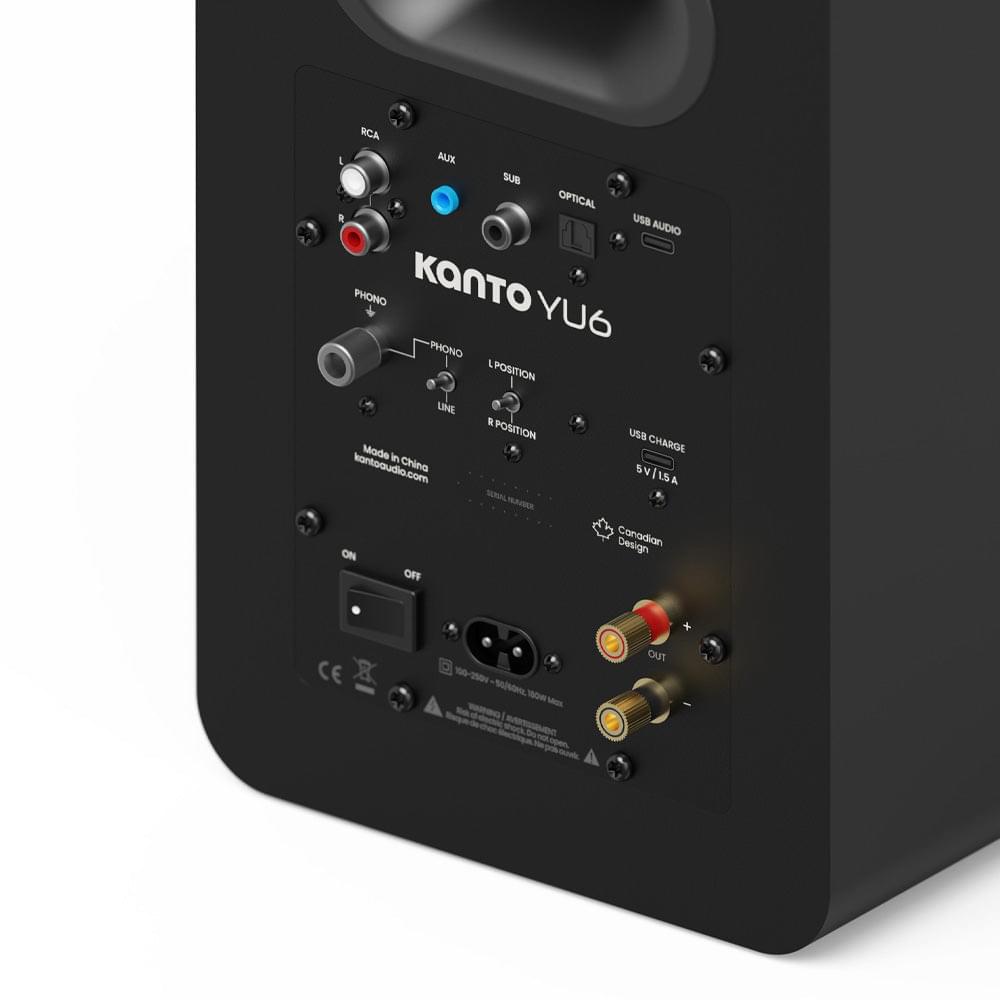 Matte black speaker rear panel with RCA, AUX, optical, and USB-C inputs