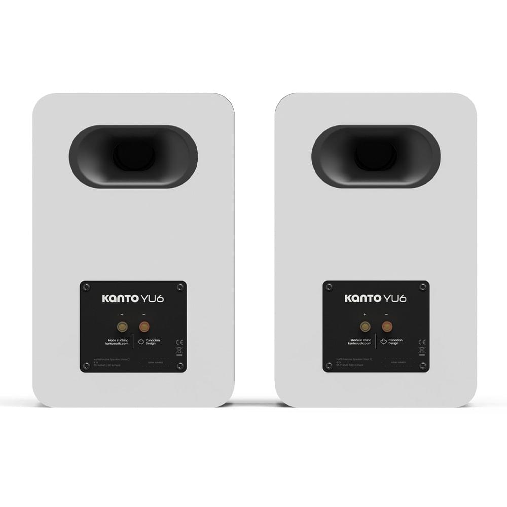 Matte white passive bookshelf speaker back showing terminal panel and port opening