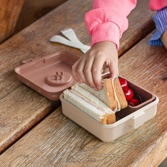 Snacky sandwich lunch box open with sandwiches and fruit inside, ready to pack