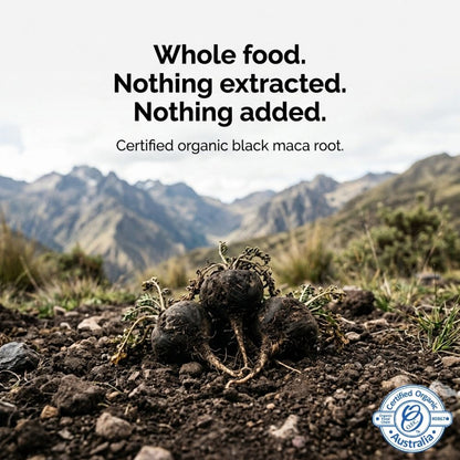 Certified Organic Black Maca Capsules