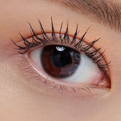 Close-up eye featuring dark curled lashes with a smooth, lifted look