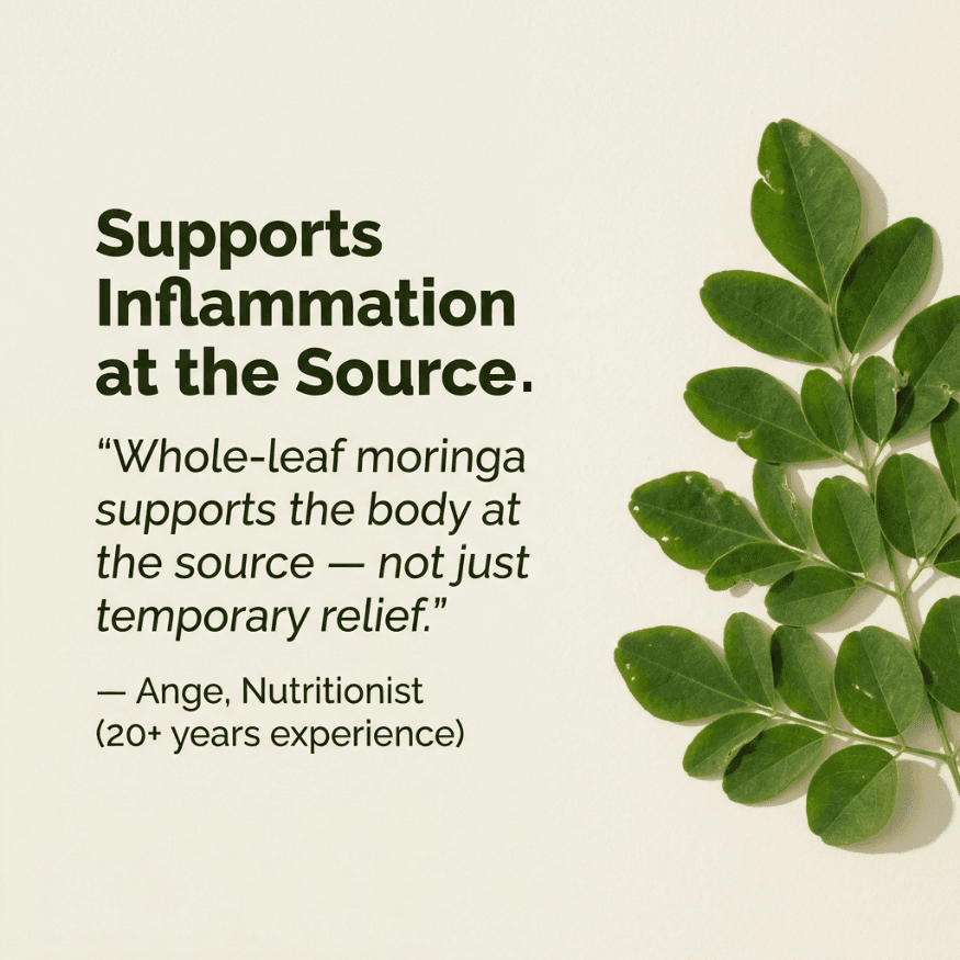 Moringa leaf sprig beside anti-inflammation supplement statement