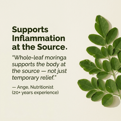 Moringa leaf sprig beside anti-inflammation supplement statement