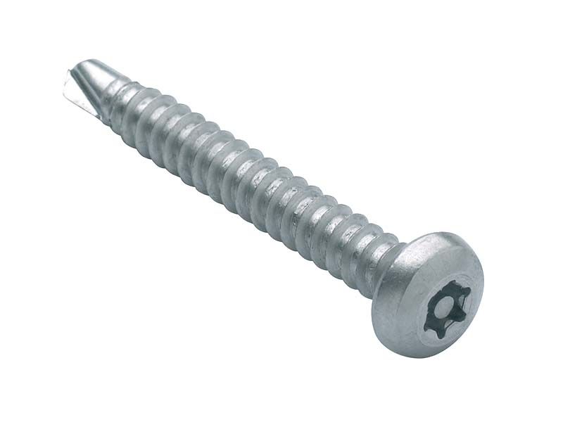 PROLOK Resytork Security Machine Screw – M6 x 20mm, Button Head, 2-Way Drive, 304 Stainless Steel, Pack of 25 with Driver | Tamper-Resistant Fastening | Part No. RTBM620-25