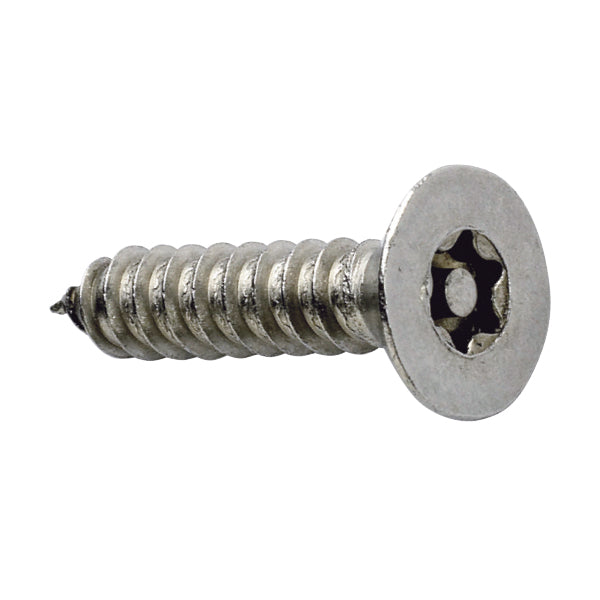 PROLOK Resytork Security Screw – 10G x 25mm, Button Head, 2-Way Self Tapper, AB Thread, 304 Stainless Steel, Pack of 25 with Driver | Tamper-Resistant Fastener | Part No. RTBS10G-25