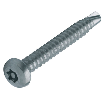 PROLOK Resytork Security Screw – 6G x 13mm, Button Head, 2-Way Self Tapper, AB Thread, 304 Stainless Steel, Pack of 25 with Driver | Tamper-Resistant Fastener | Part No. RTBS6D-25