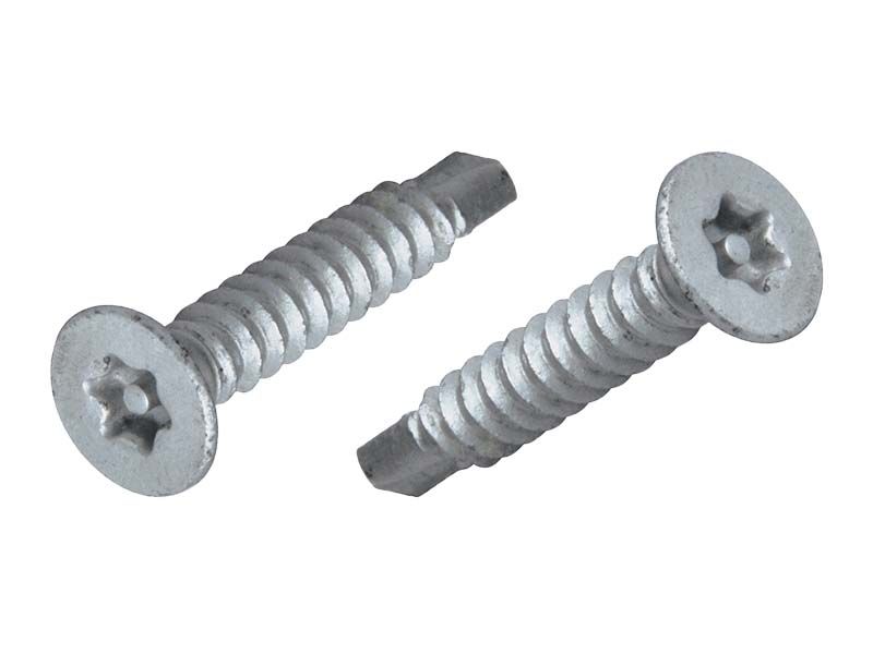 PROLOK Resytork Countersunk Security Screw – Self Tapper, 8 Gauge (4.2mm) x 38mm, 2-Way Drive, 304 Stainless Steel, Pack of 25 with Driver | Heavy-Duty Tamper-Resistant Fastener | Part No. RTCS8I-25