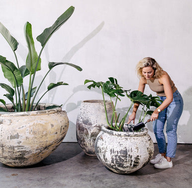 Two speckled gray concrete planters with leafy plants and a person nearby