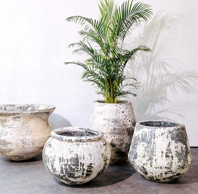 Set of speckled concrete planters with several upright green plants