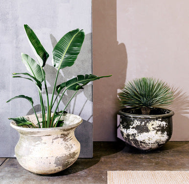 Two speckled concrete planter urns with tall green plants