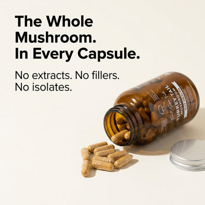Australian Grown Turkey Tail Capsules