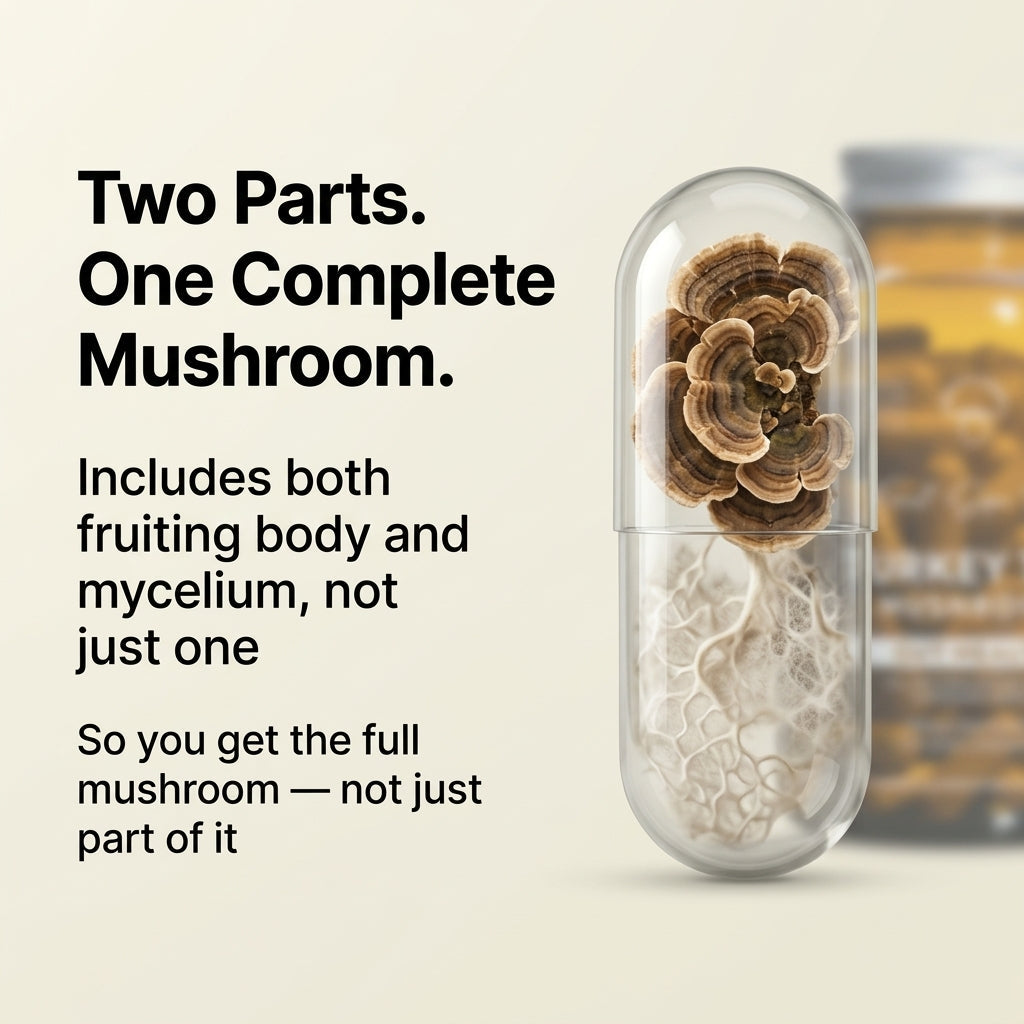 Australian Grown Turkey Tail Capsules