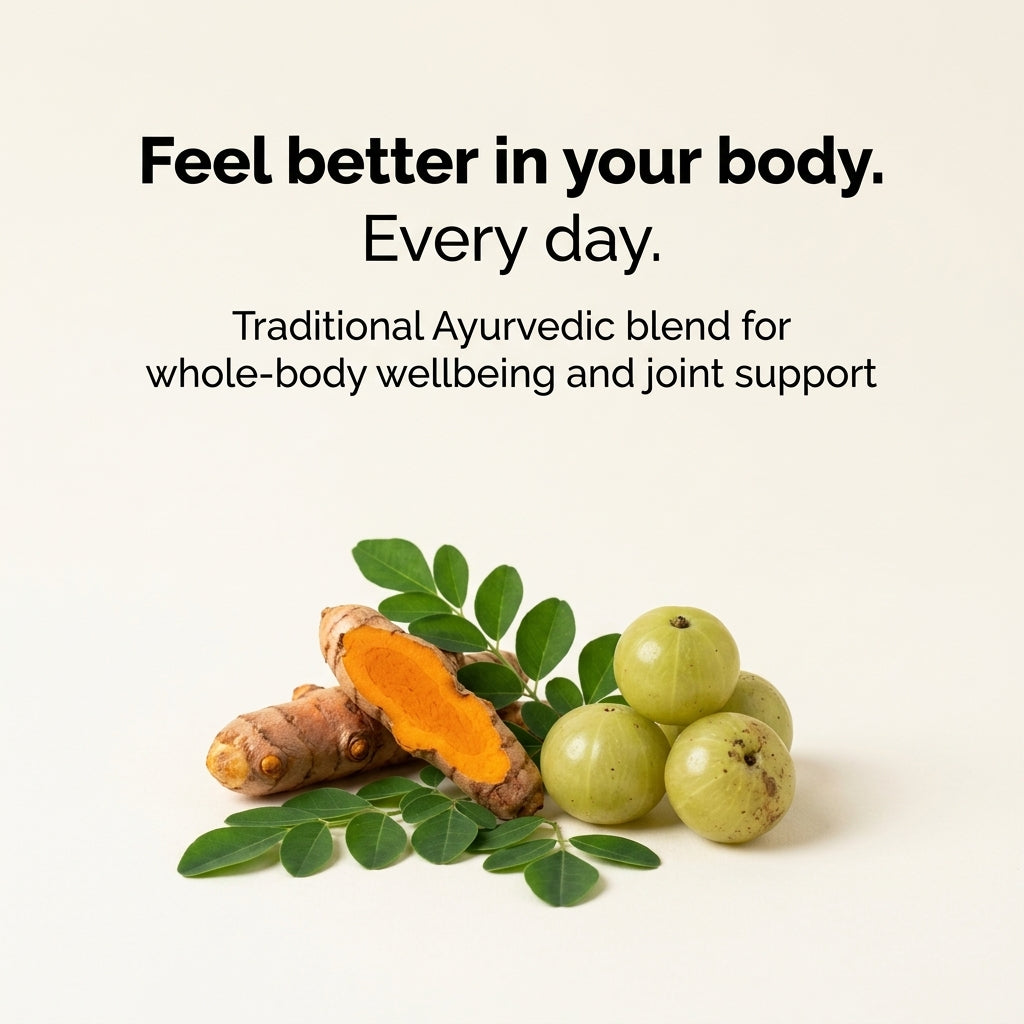 Turmeric+ Whole Food Blend natural ingredients: turmeric root, moringa leaves, amla